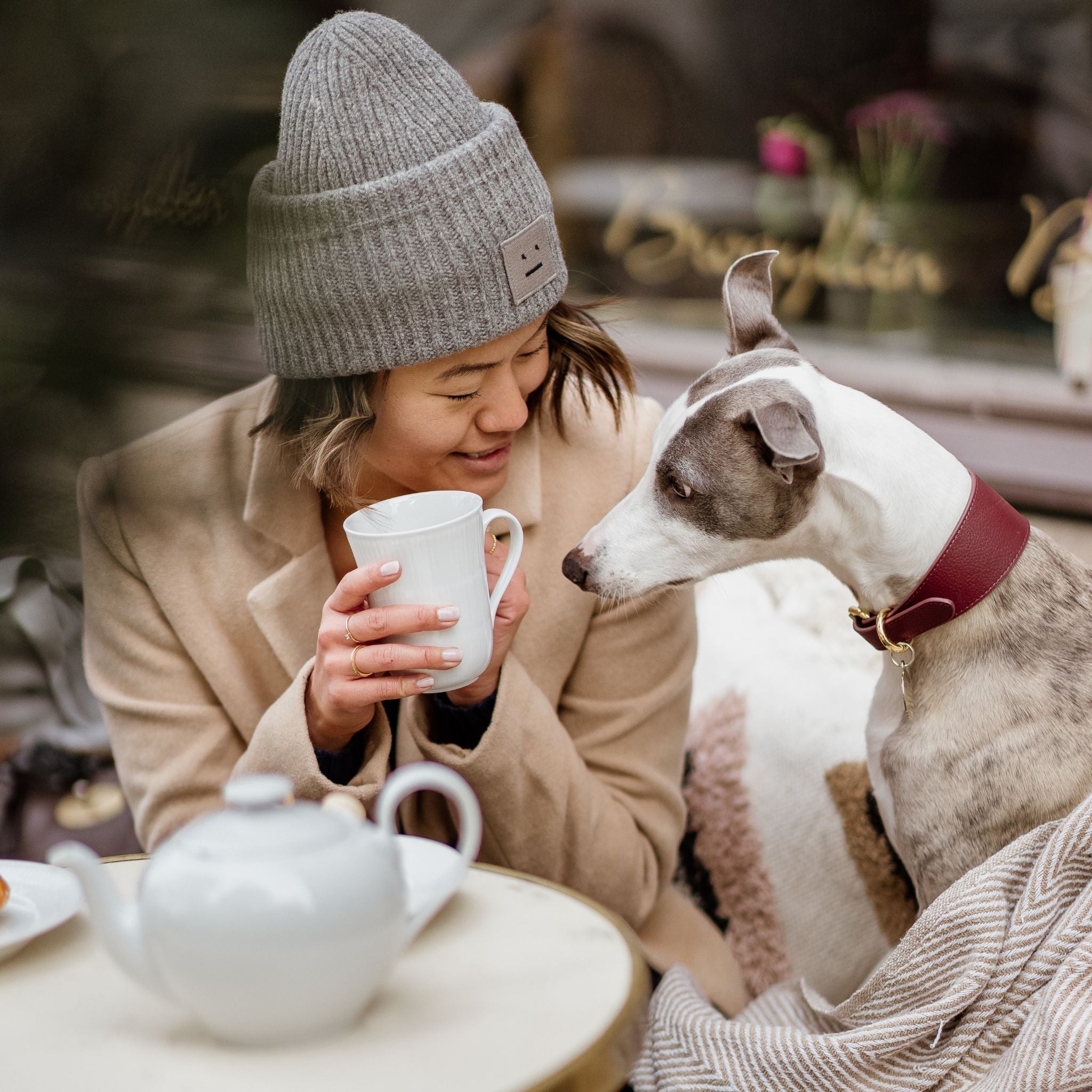 6 Dog-Friendly Restaurants to Visit in Stockholm