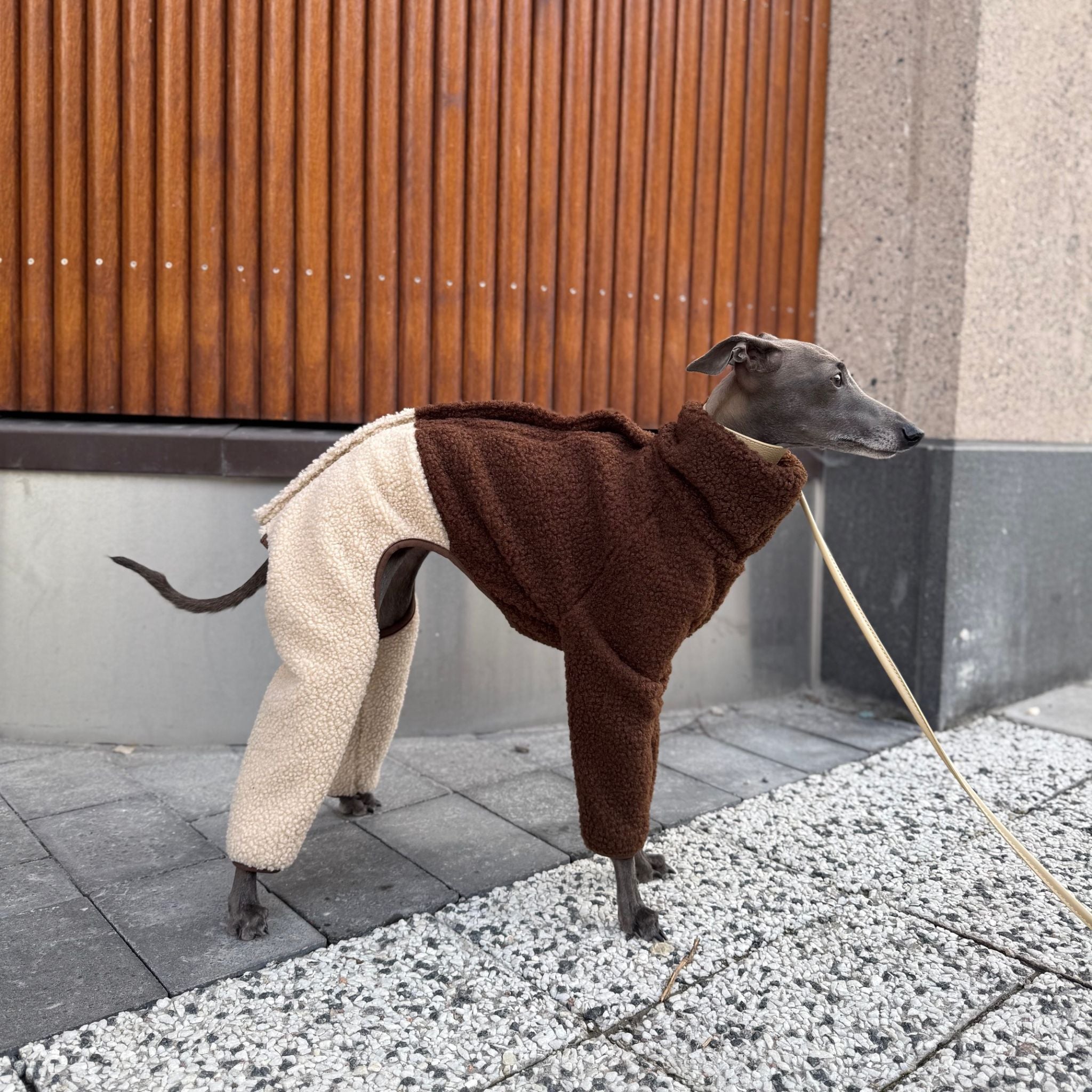 Pawsome Dog Accessories