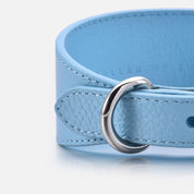 Baby Blue Dog Collar Wide