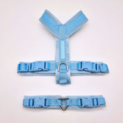 Baby Blue Y-Harness