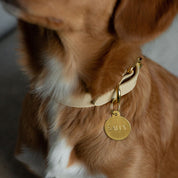 Beige Hundehalsbånd Tynn 
