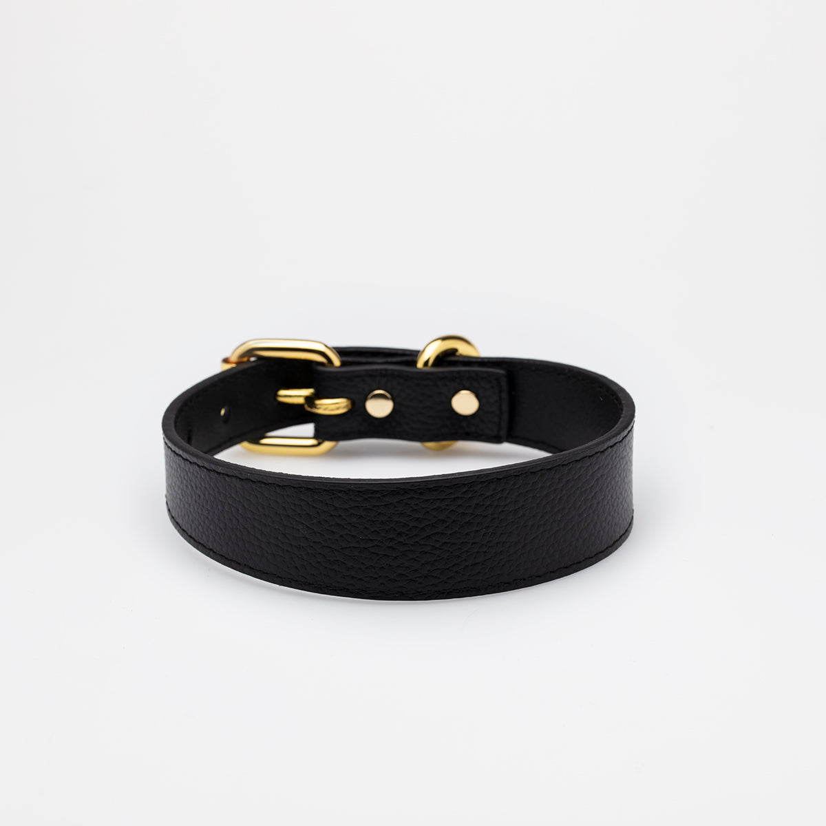 black-dog-collar-medium-thin.jpg