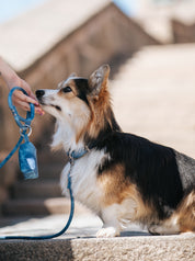 Blue Denim Poop Bag Holder