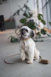 Reflective Bronze Dog Lead