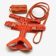 Cognac Y-Harness
