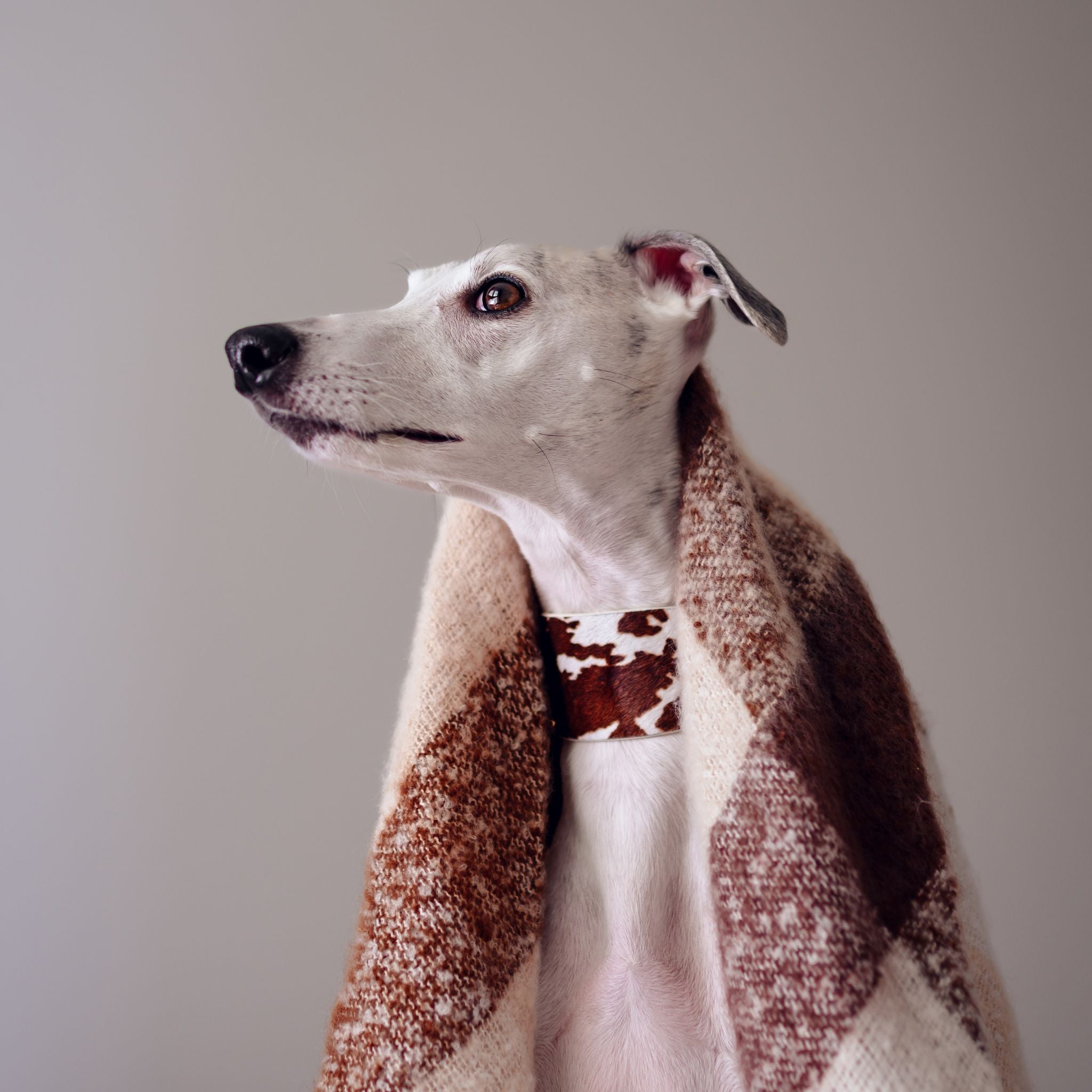 Ku Hundehalsbånd Bred 