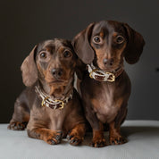 Tynn hundehalsbånd til ku 