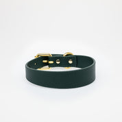Dark Green Dog Collar Thin