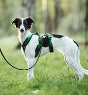 Dark Green Y-Harness