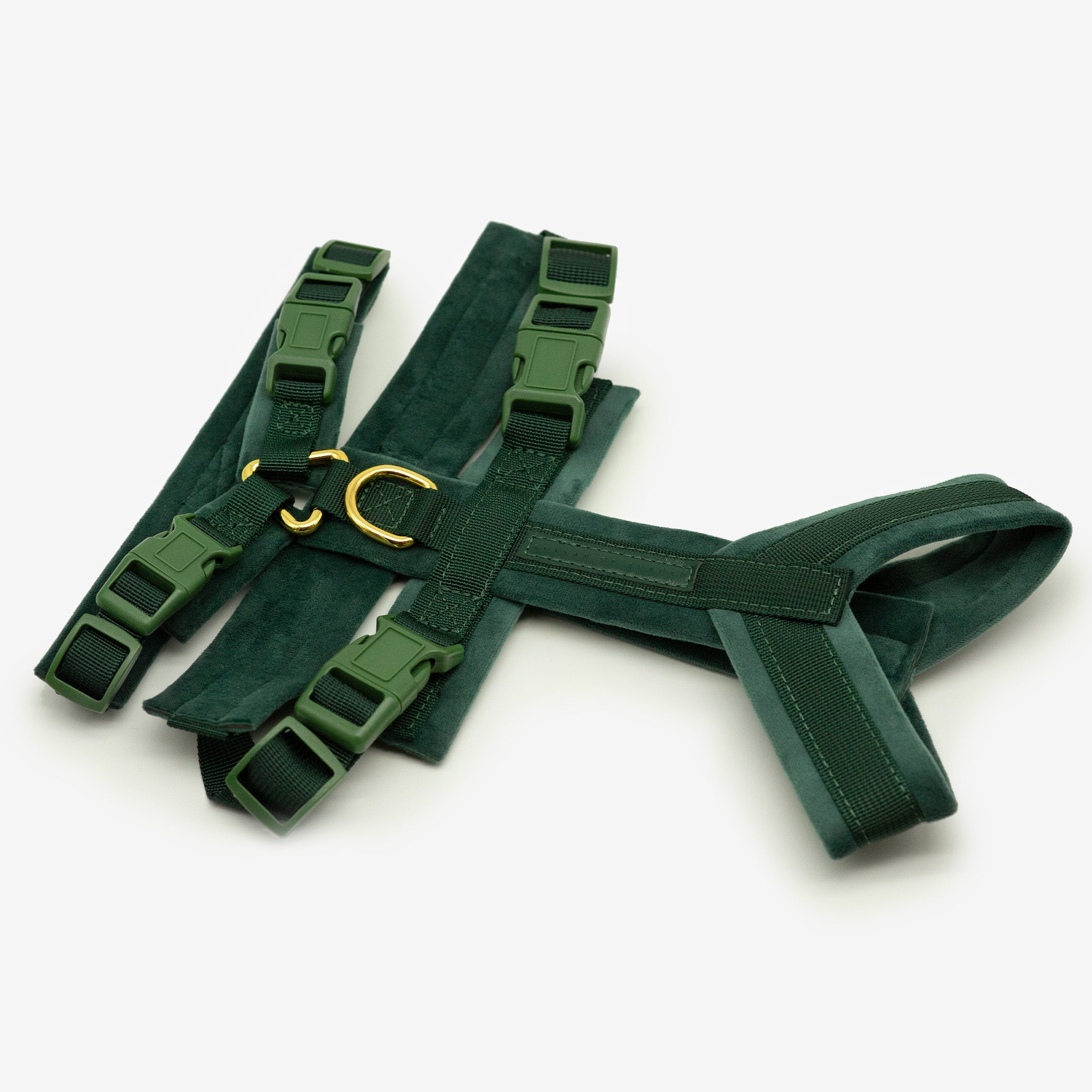 dark-green-harness-whole.jpg