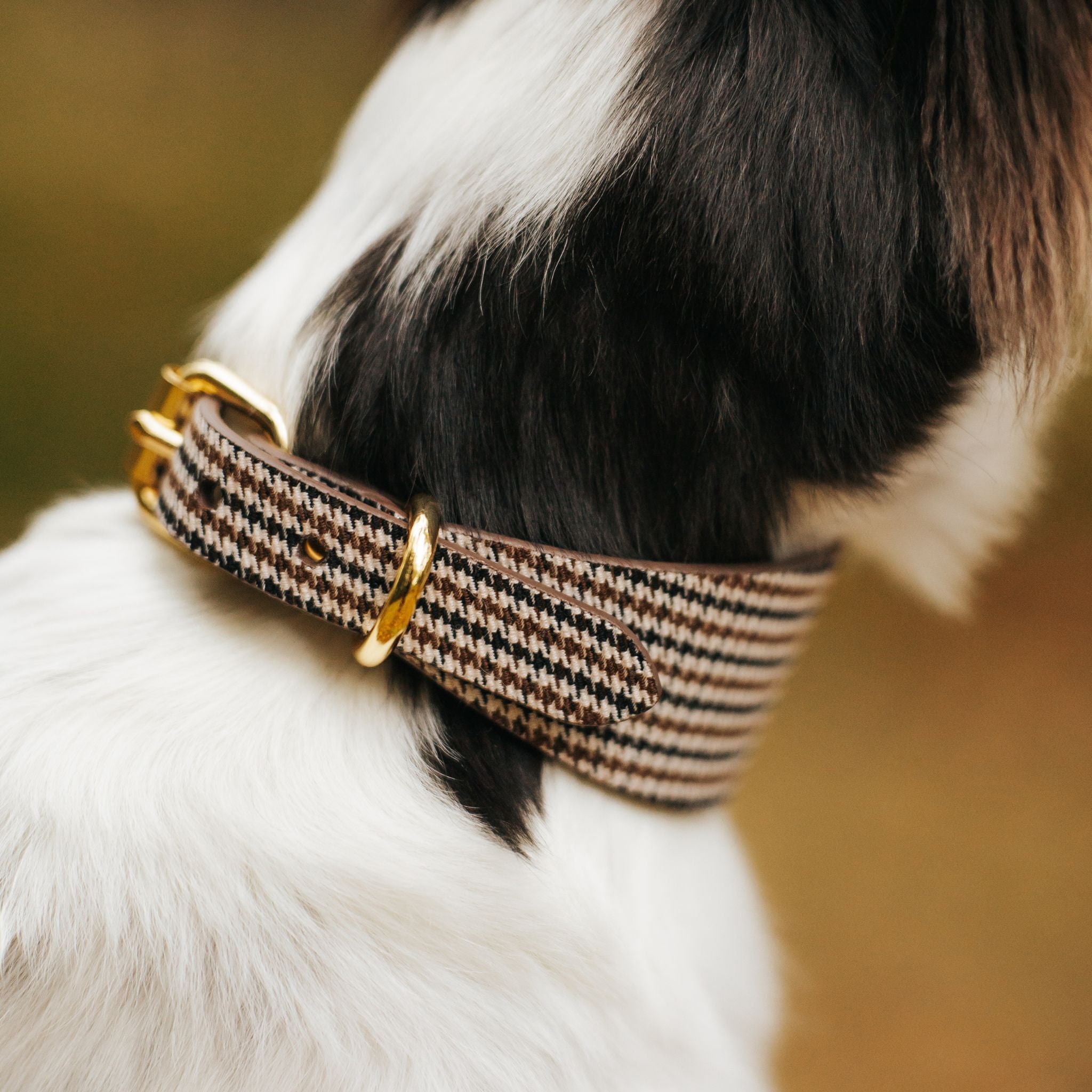 Beige Houndstooth Hundehalsbånd Bred 
