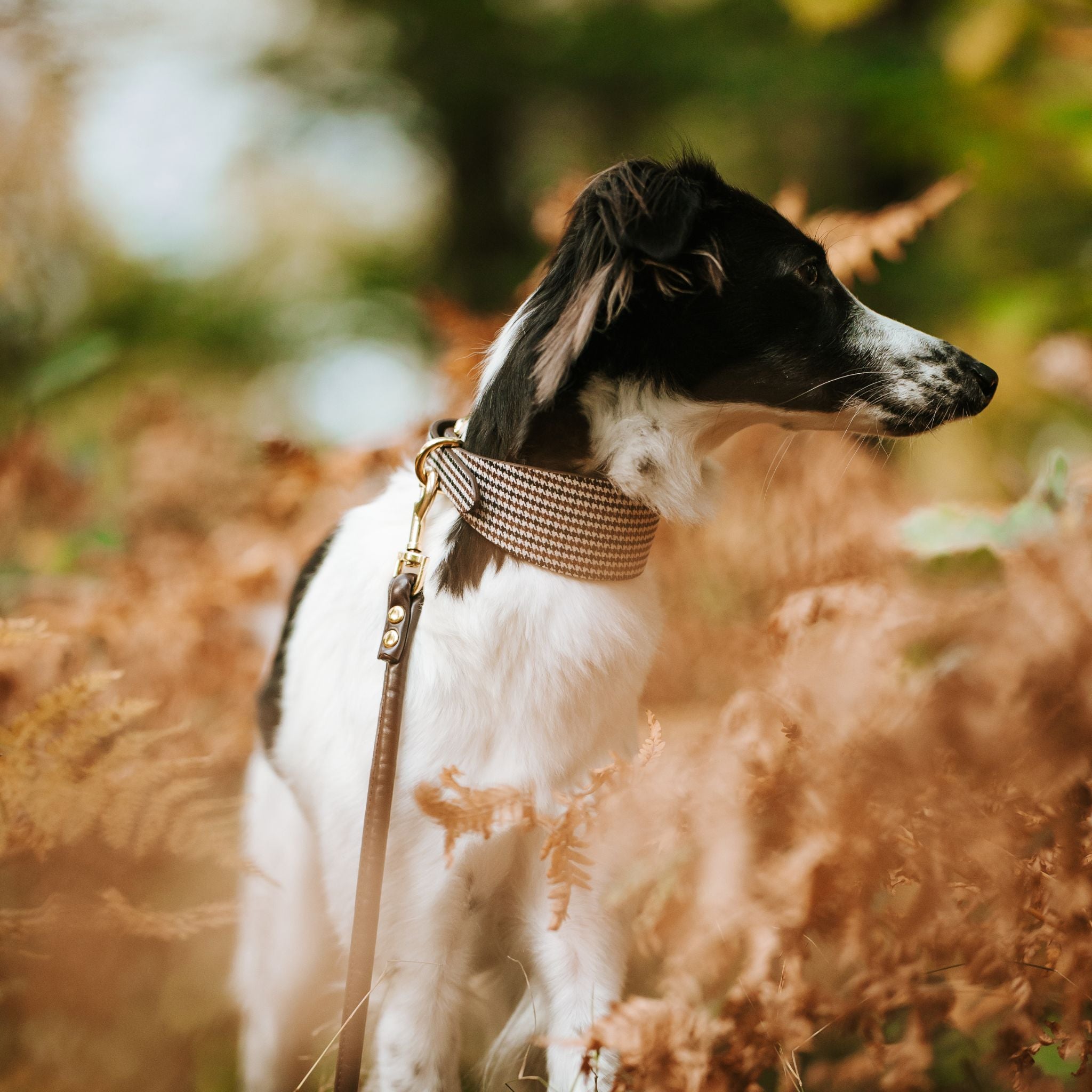 Beige Houndstooth Hundehalsbånd Bred 