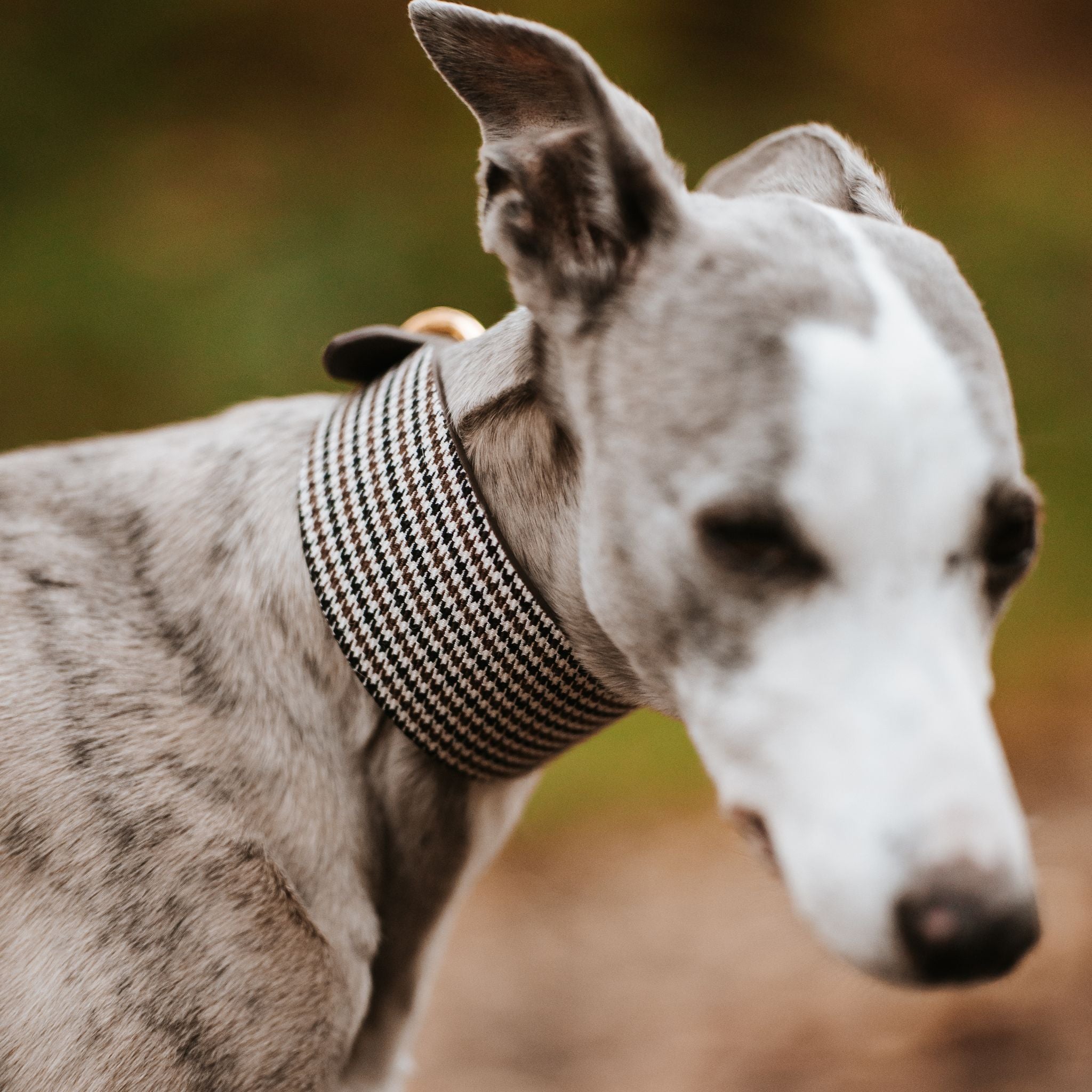 Beige Houndstooth Hundehalsbånd Bred 