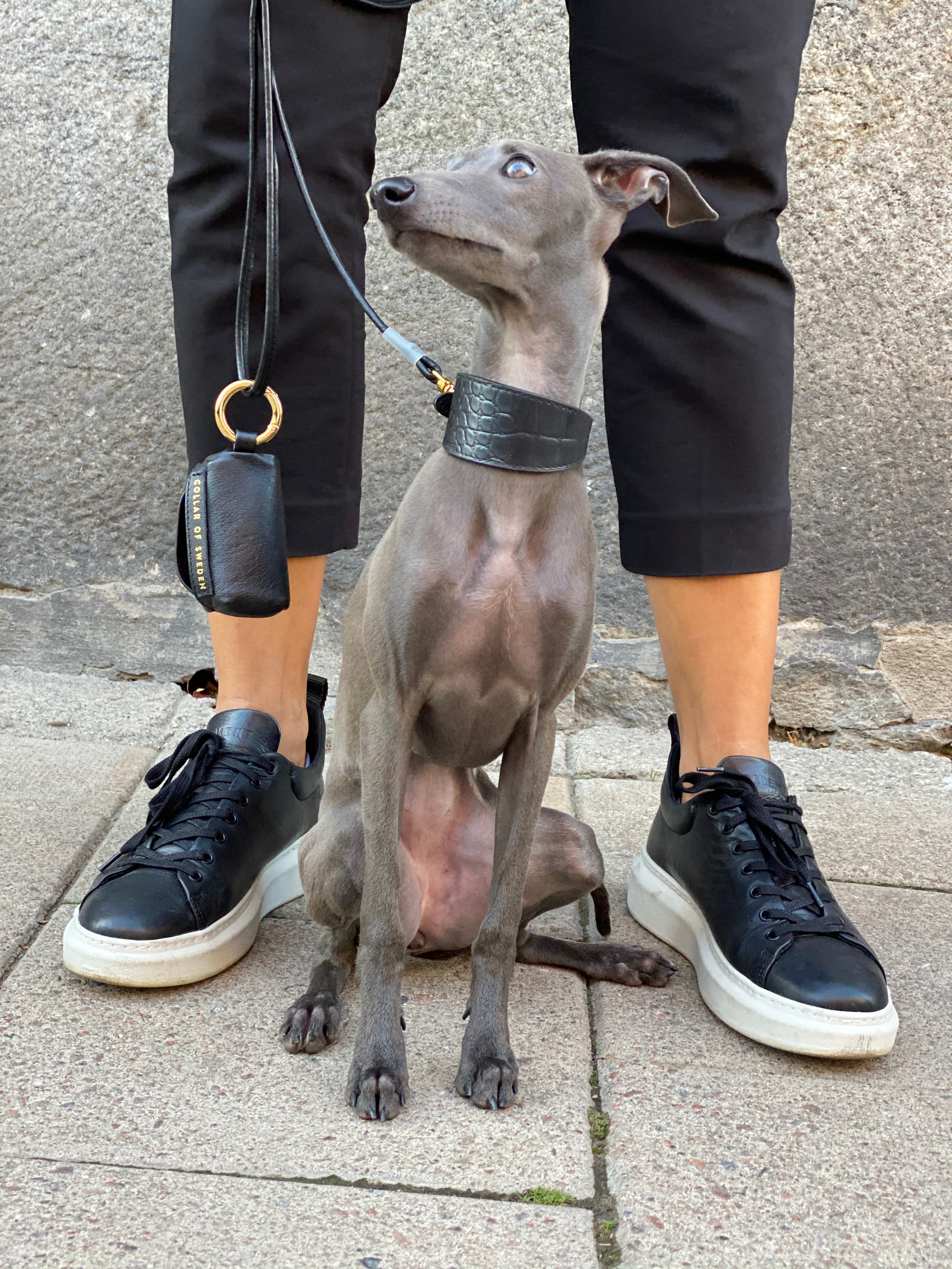 Black Croco Dog Collar Wide