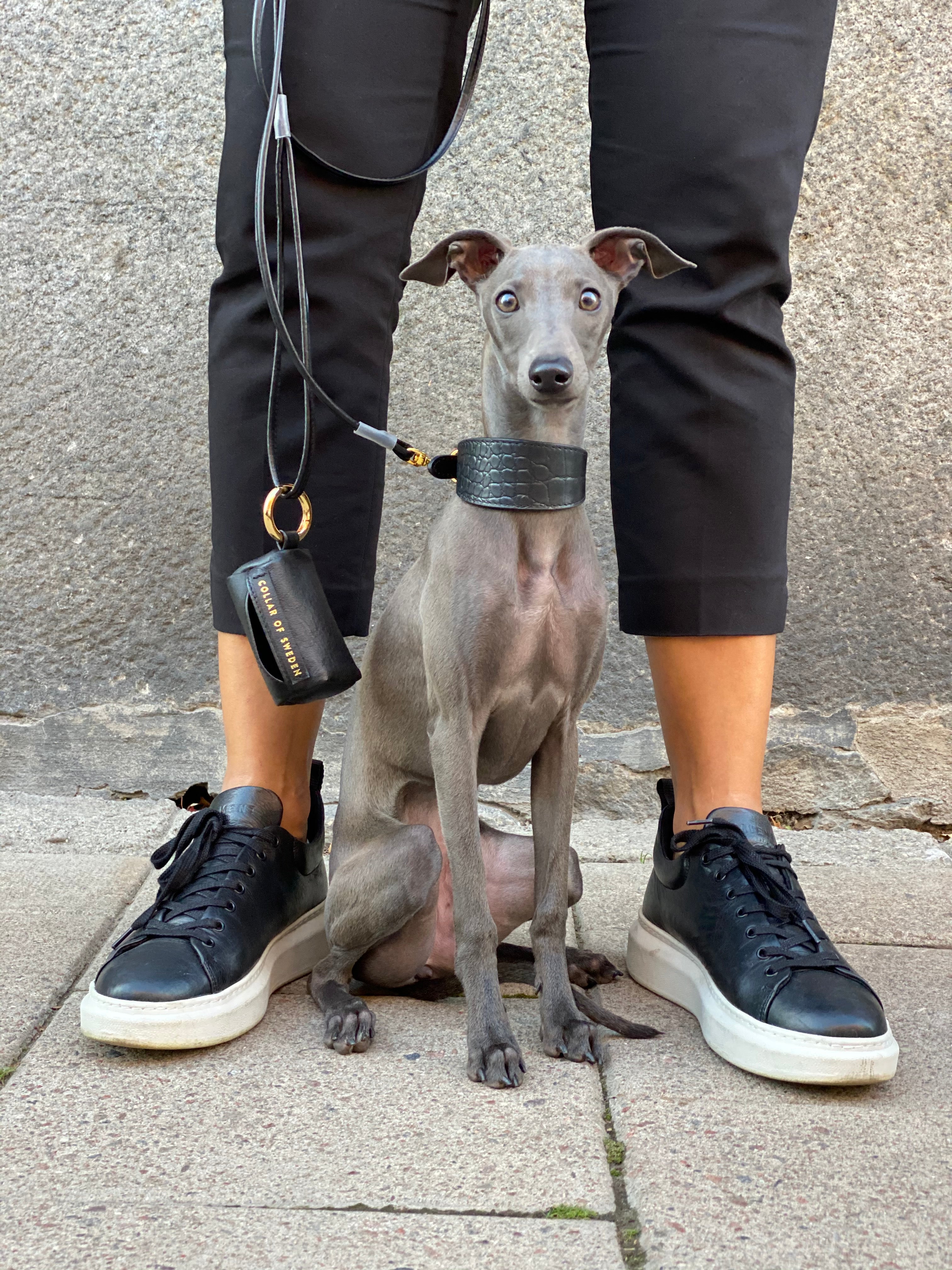 Black Poop Bag Holder