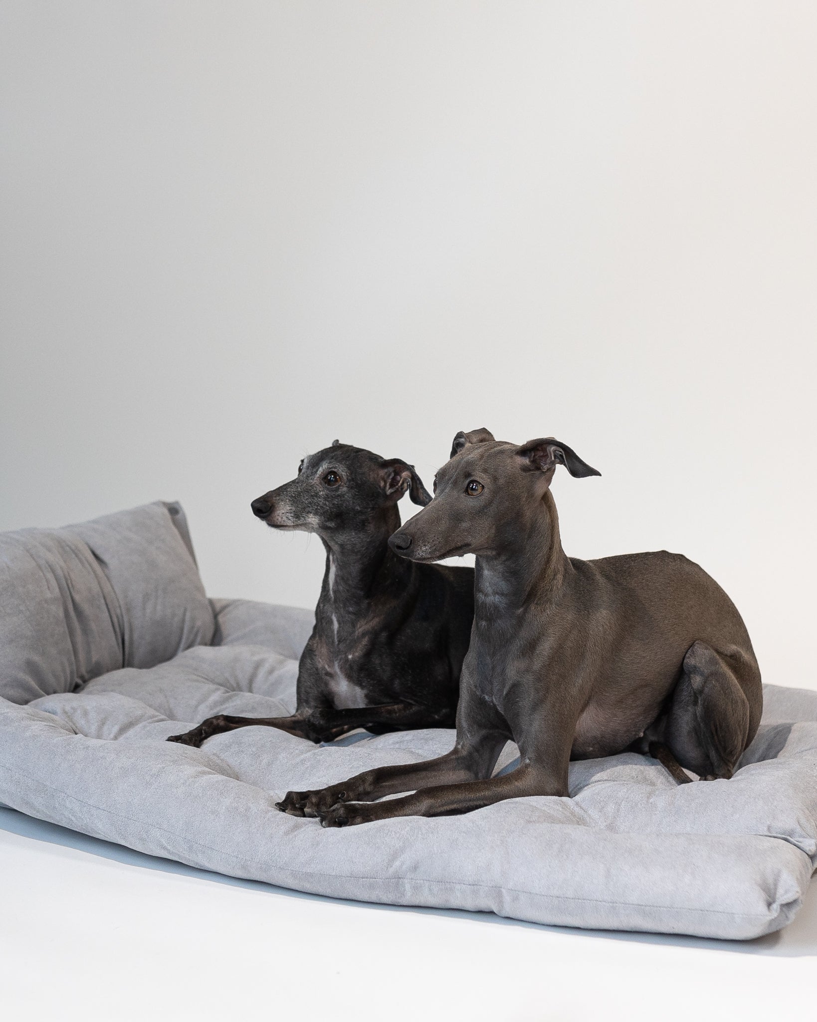 Grey Dog Bed 3in1