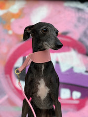 Pink Dog Martingale Wide