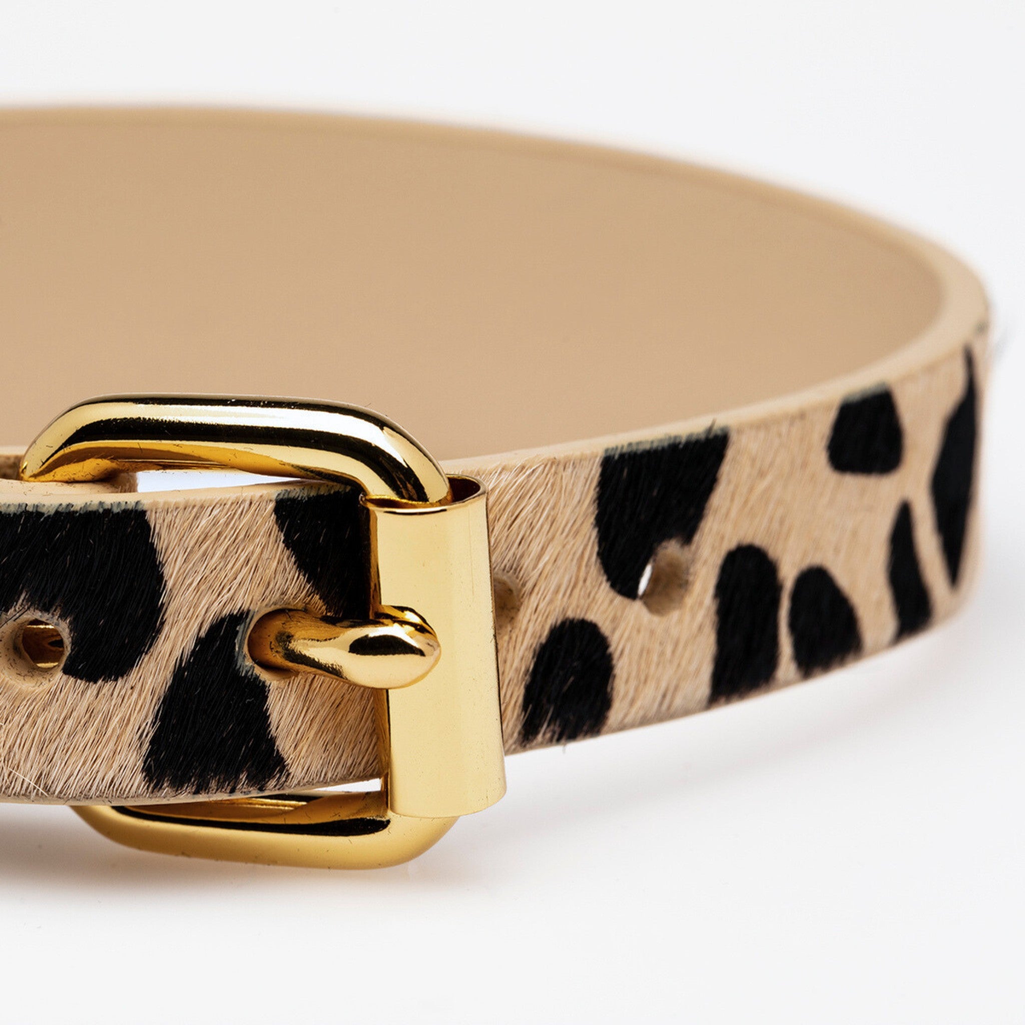 Leopard Dog Collar Wide