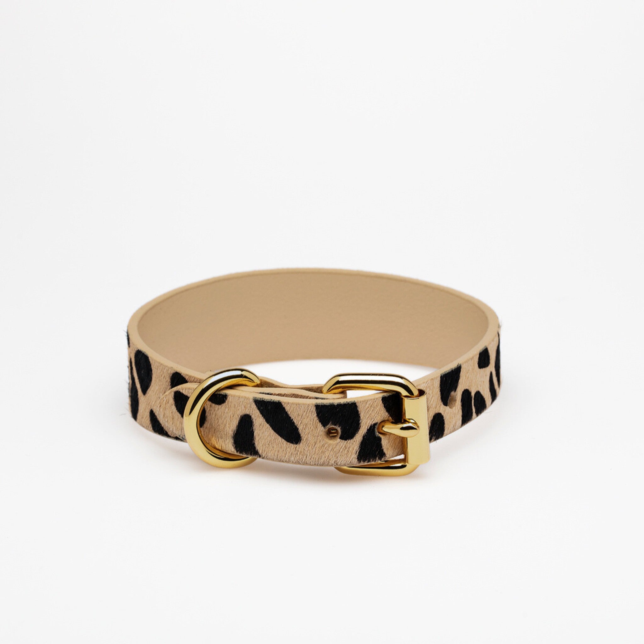 leopard-dog-collar-medium-thin-back.jpg