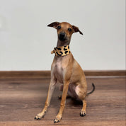 Leopard Hundehalsbånd Bred 