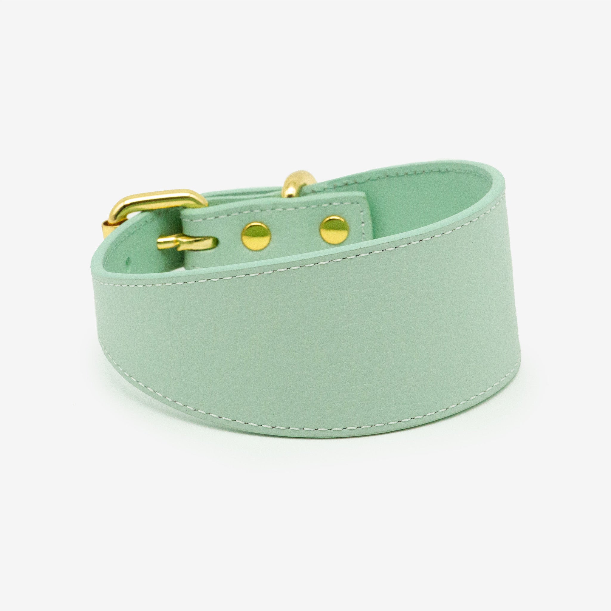 Mint Dog Collar Wide