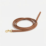 Mocha Brown Dog Lead