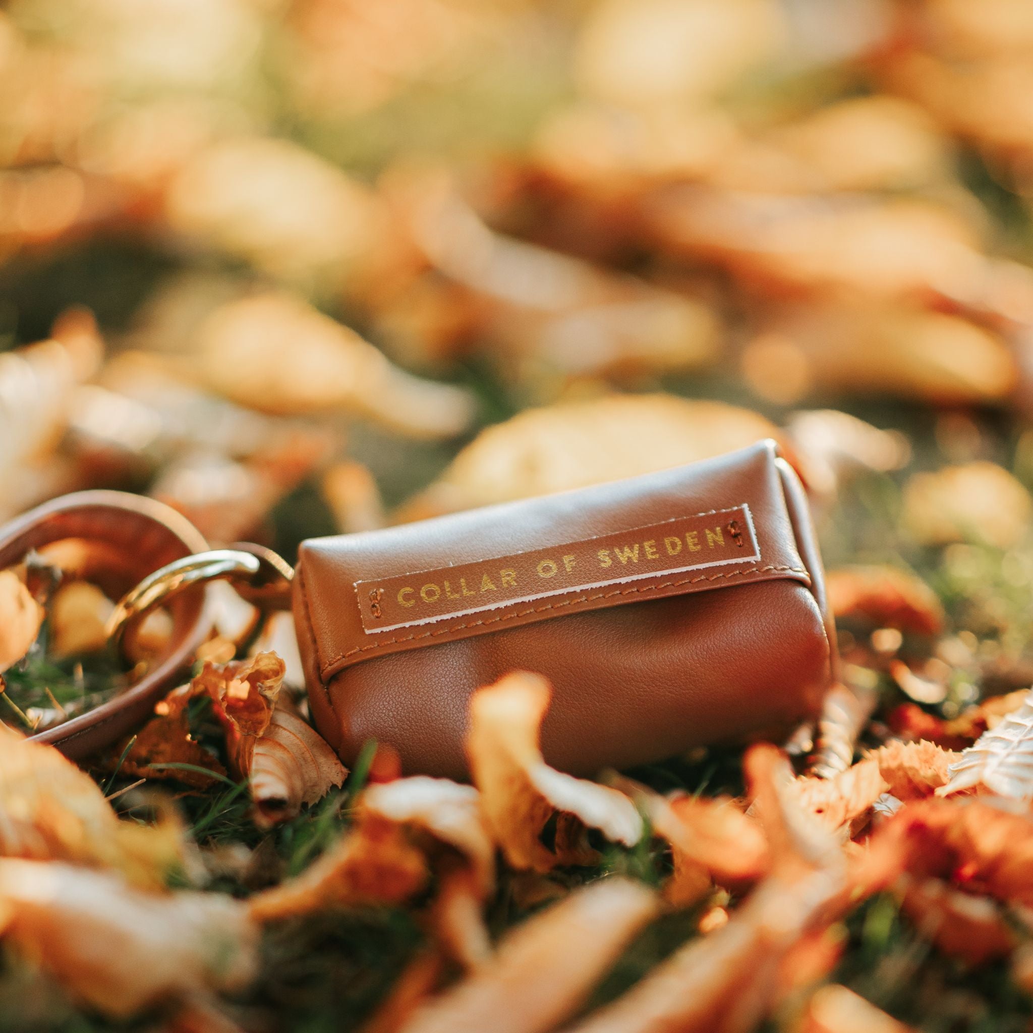 mocka-brown-poop-bag-holder-autumn.jpg
