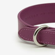 Purple Dog Collar Thin