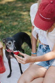 Red Denim Cap - Dogs Before Dudes
