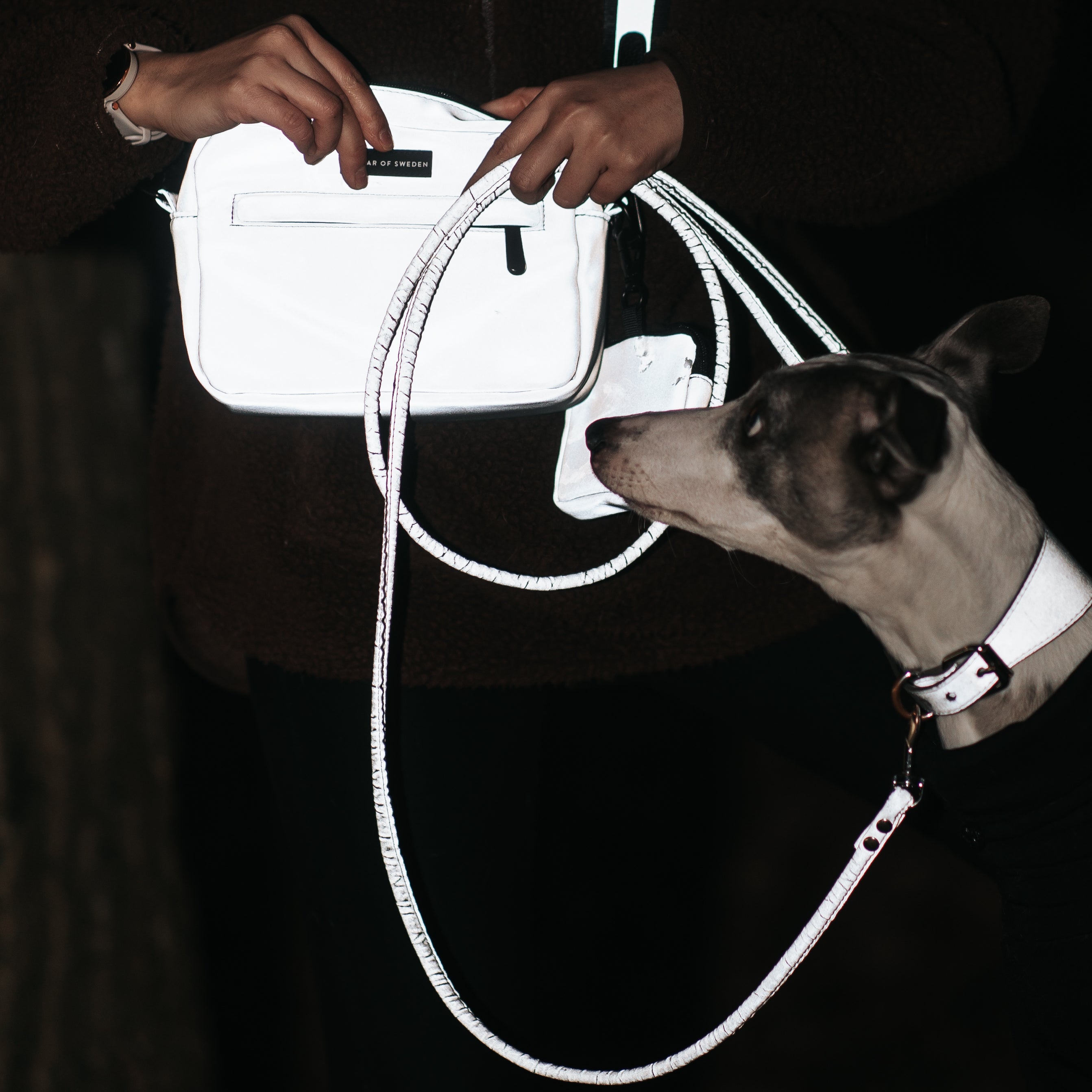 reflective-doggy-bag.jpg