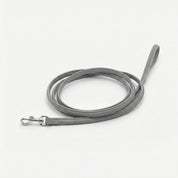 Reflective Silver Dog Lead