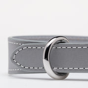 Reflective Silver Dog Collar Thin