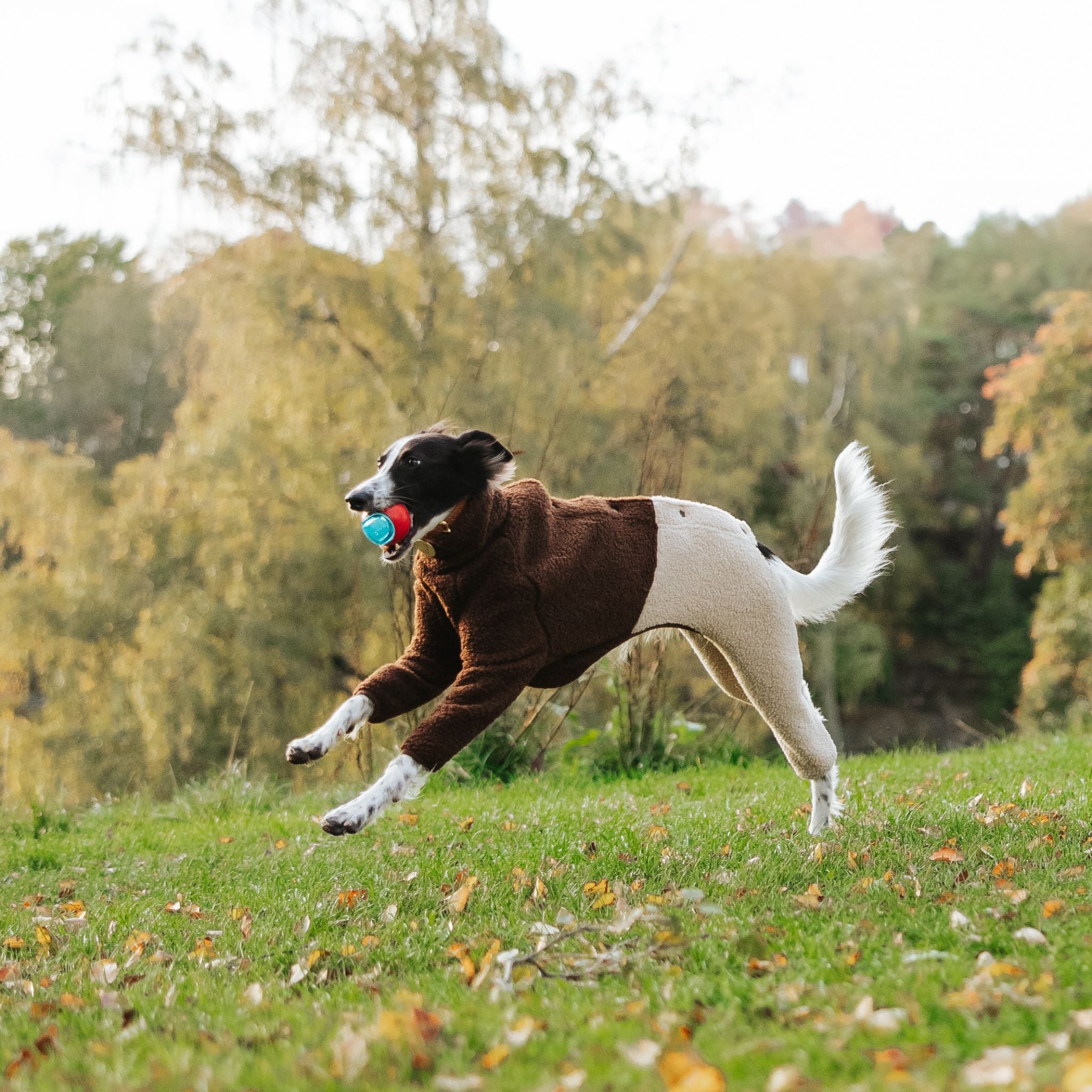 Beige & Brown Sighthound Fleece Onesie
