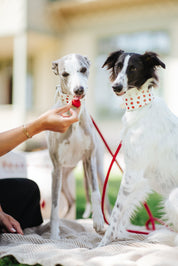 Strawberry Dog Collar Wide