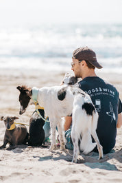 Vintage Black T-shirt - Dogs & Wine Make Everything Fine