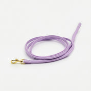 Violet Dog Lead