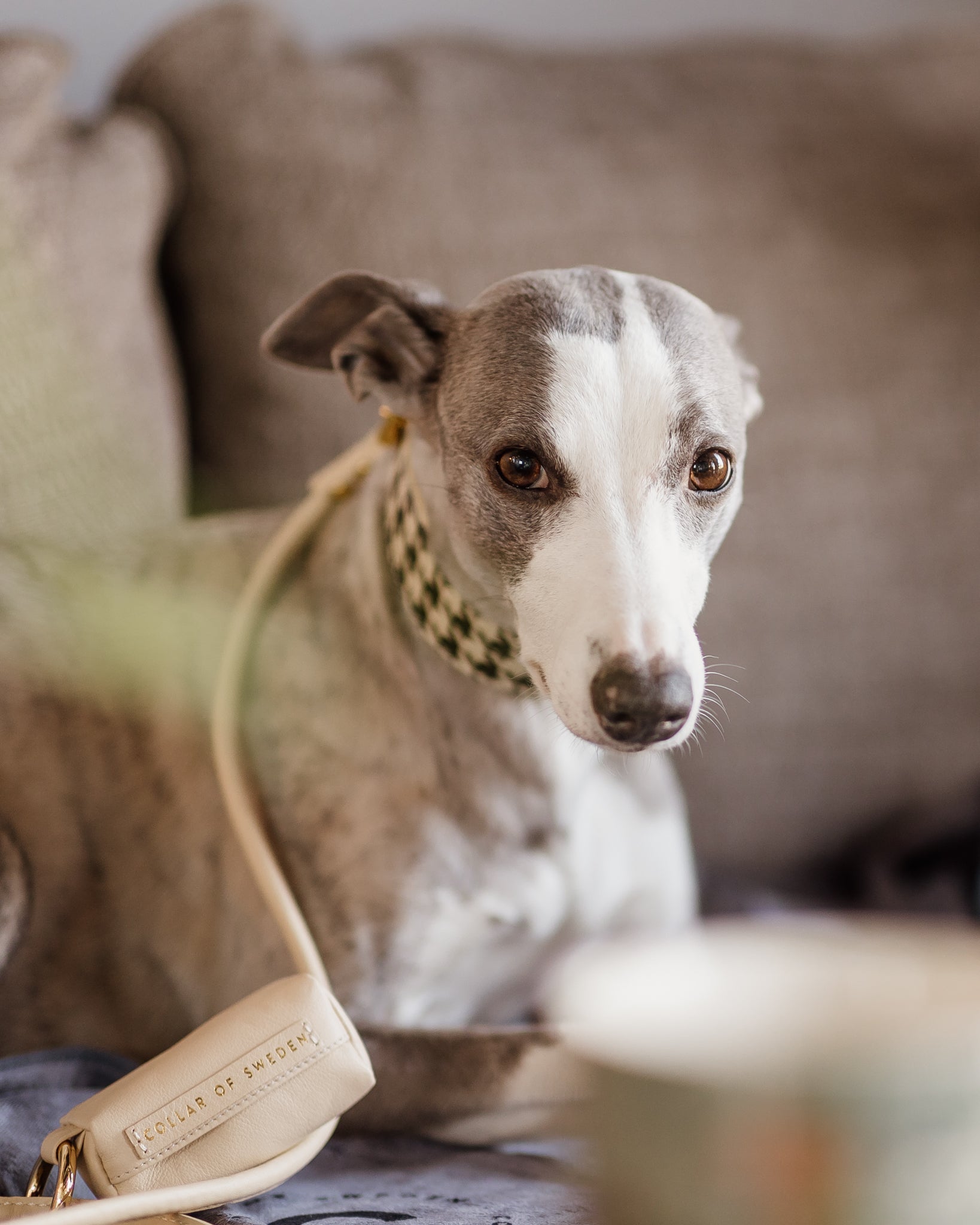Beige Poop Bag Holder