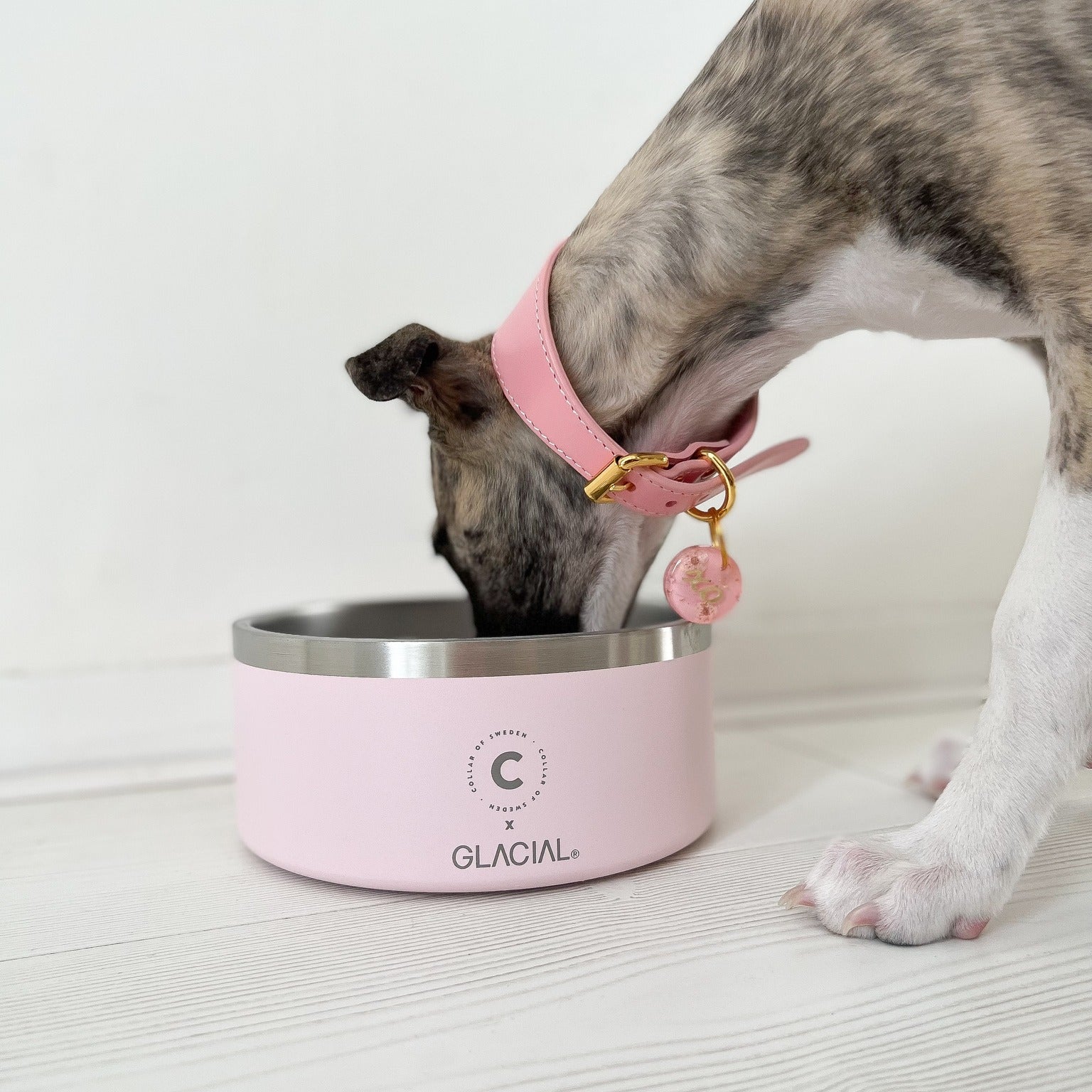 whippet-pink-dog-bowl_569aa8c3-2ee6-4fb8-9e57-9d1f648eba78.jpg