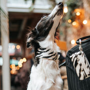 Zebra Bæsjposeholder 